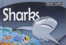 Stock image for Pocket Guides Sharks for sale by Once Upon A Time Books
