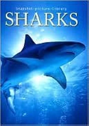 Stock image for Sharks (Snapshot Picture Library Series) for sale by Wonder Book