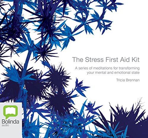 9781740949309: The Stress First Aid Kit