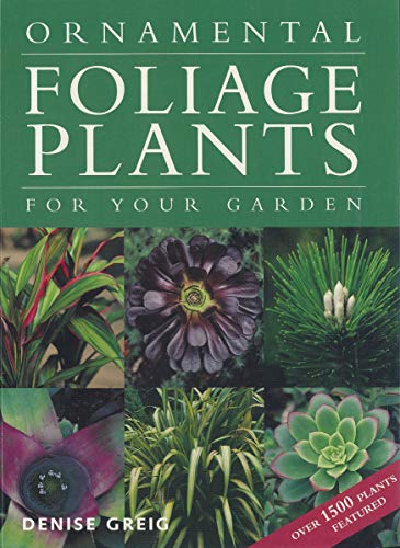 Imagen de archivo de Ornamental Foliage Plants for Your Garden a la venta por MusicMagpie