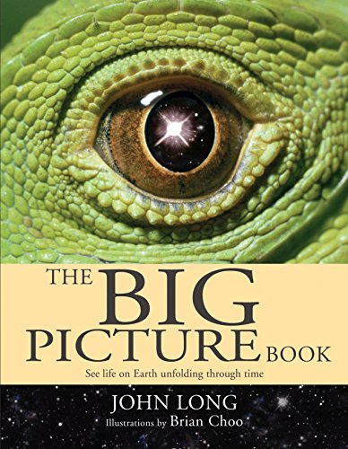 Imagen de archivo de The Big Picture Book: See life on Earth unfolding through time a la venta por WorldofBooks