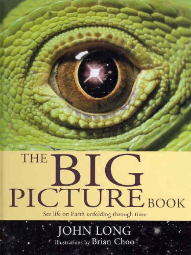 Stock image for The Big Picture Book: See life on Earth unfolding through time for sale by WorldofBooks