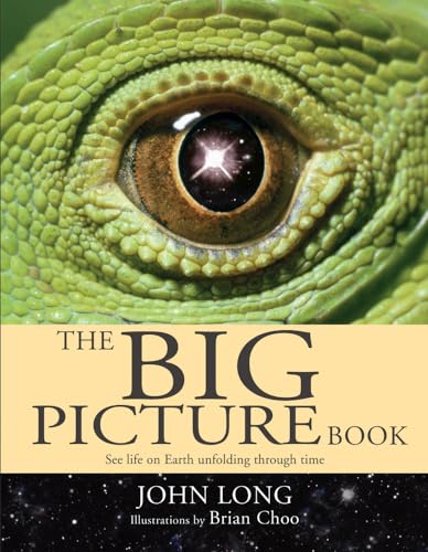 9781741143287: The Big Picture Book: See life on Earth unfolding through time