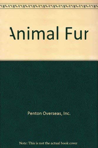 Beispielbild fr Animal Fun zum Verkauf von Wonder Book
