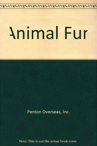 Stock image for Animal Fun for sale by Wonder Book