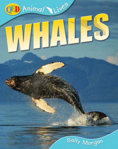 9781741262483: Whales (QED Animal Lives)