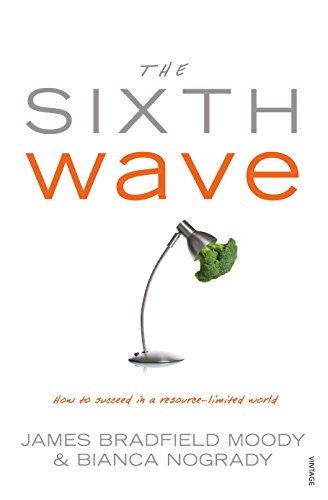 9781741668896: The Sixth Wave: How to Succeed in a Resource-Limited World