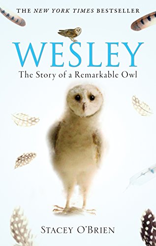 9781741669305: Wesley: The Story of a Remarkable Owl