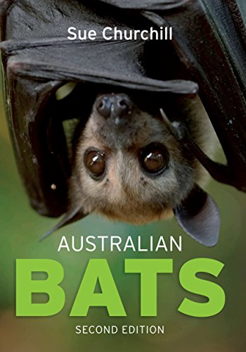 9781741754612: Australian Bats