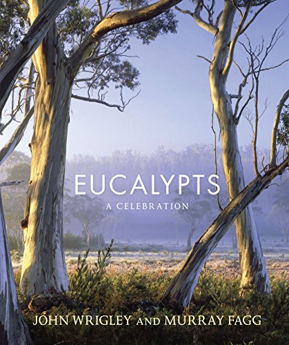 Beispielbild fr Eucalypts: A Celebration zum Verkauf von Irish Booksellers