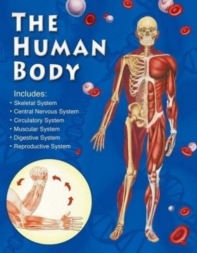 9781741784695: The Human Body