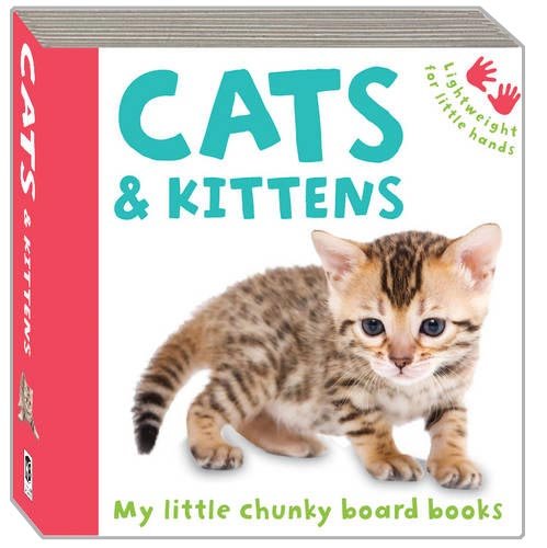 Imagen de archivo de Cats And Kittens a la venta por WorldofBooks