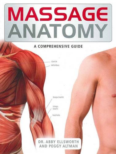 Stock image for Massage Anatomy (The Anatomy Series) for sale by GF Books, Inc.