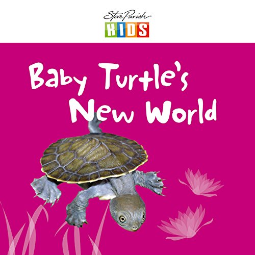 Baby Turtle's New World (9781741930399) by Catherine Prentice