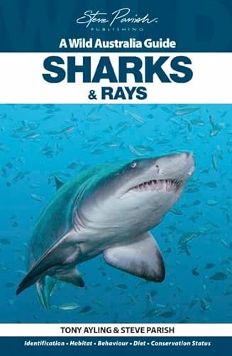 Stock image for Sharks & Rays: A Wild Australia Guide for sale by Ripponlea Books