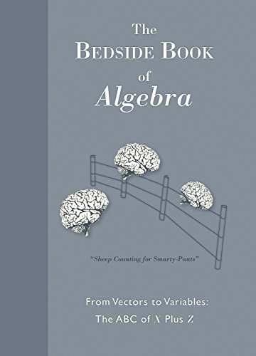 9781741965964: The Bedside Book of Algebra