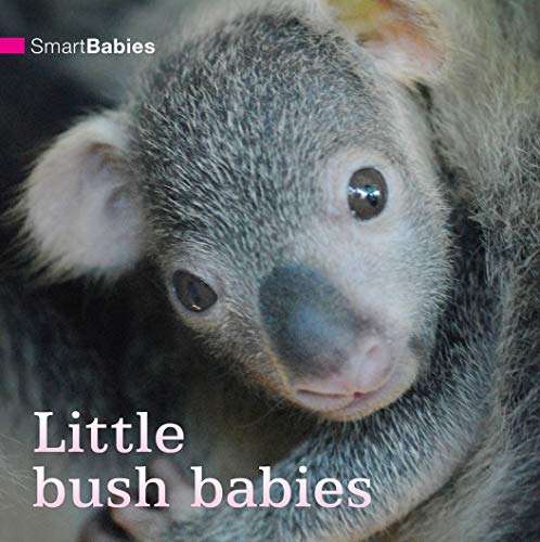 9781742030425: Smart Babies: Little Bush Babies