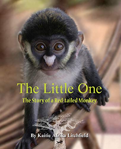 Beispielbild fr The Little One: The Story of a Red-Tail Monkey zum Verkauf von medimops