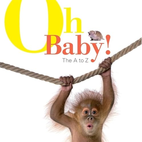 Beispielbild fr Oh Baby! The A to Z zum Verkauf von medimops