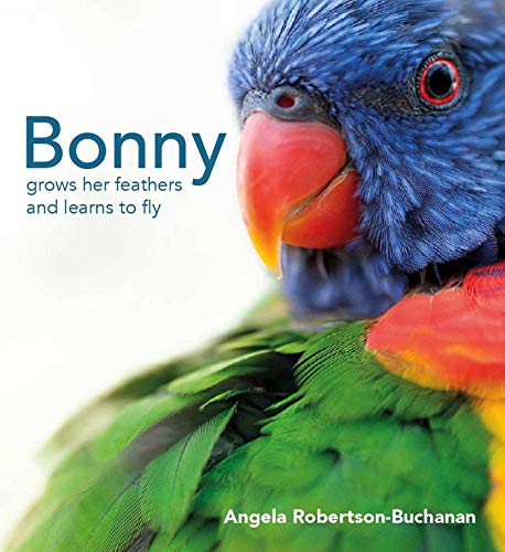 Stock image for Bonnys Story for sale by Reuseabook