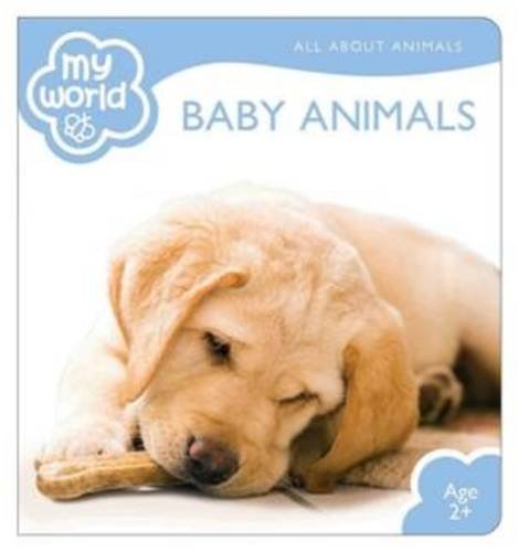 9781742114743: Baby Animals (My World)