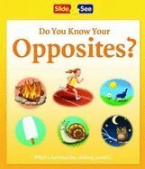 Stock image for Do You Know Your Opposites? (Slide & See) for sale by Wonder Book