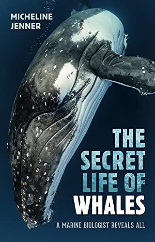 Imagen de archivo de The Secret Life of Whales a la venta por ThriftBooks-Atlanta