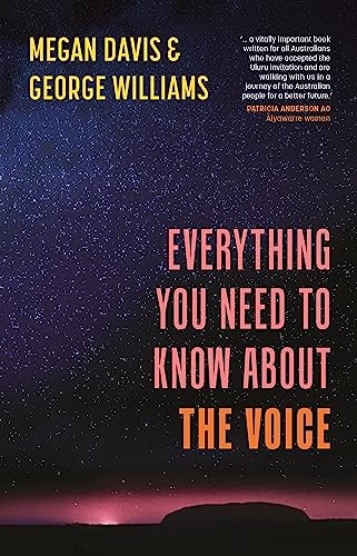 Beispielbild fr Everything You Need to Know about the Voice zum Verkauf von AwesomeBooks