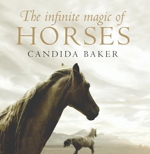 Beispielbild fr The Infinite Magic of Horses (Inspired Living) zum Verkauf von medimops