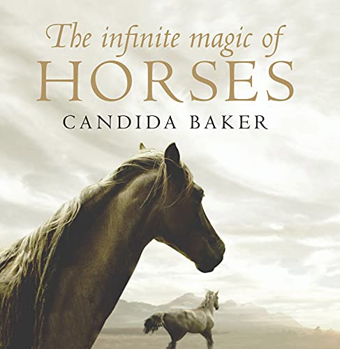 Stock image for The Infinite Magic of Horses for sale by ThriftBooks-Atlanta