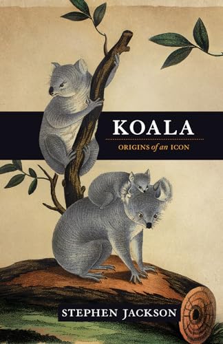 9781742373232: Koala: Origins of an Icon