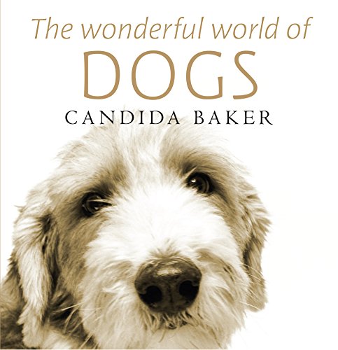 Stock image for Wonderful World of Dogs for sale by Book Haven