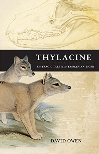 9781742376318: Thylacine: The tragic tale of the Tasmanian Tiger