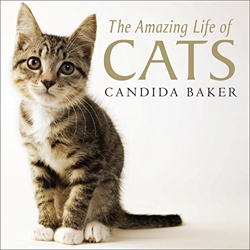 Stock image for Amazing Life of Cats for sale by MyBookshop