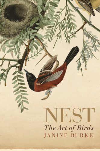 Imagen de archivo de NEST The Art of Birds a la venta por Nilbog Books