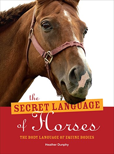 The Secret Language of Horses: The Body Language of Equine Bodies.