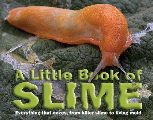 9781742451602: A Little Book of Slime