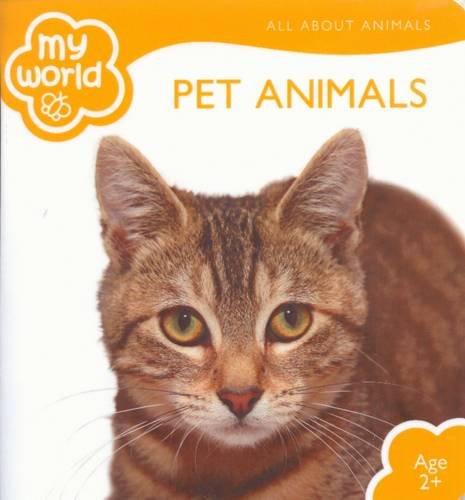 Beispielbild fr My World Pet Animals zum Verkauf von WorldofBooks