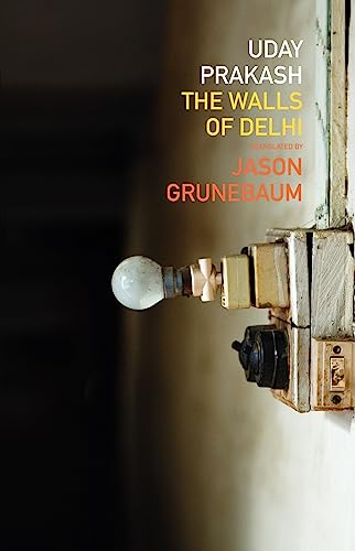 9781742583921: The Walls of Delhi