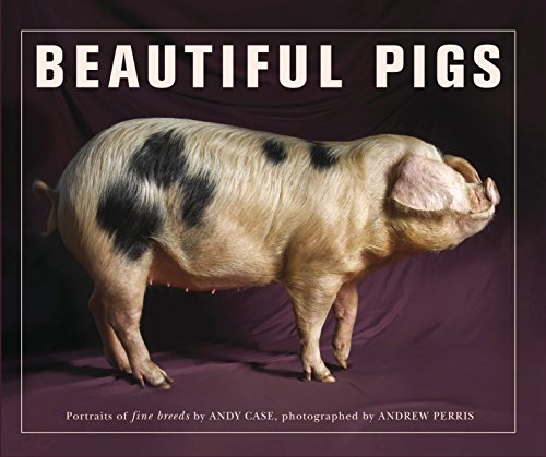 Stock image for Beautiful Pigs : Portraits of Fine Breeds for sale by Elizabeth's Bookshops