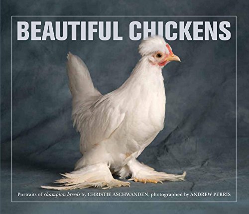 Beispielbild fr Beautiful Chickens zum Verkauf von Reuseabook