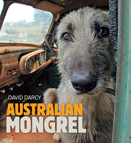 Stock image for Australian Mongrel Darcy, Dave for sale by Iridium_Books