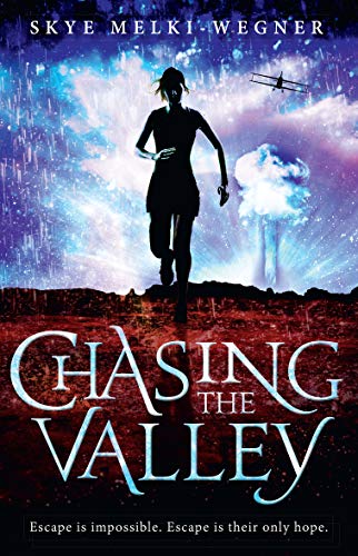 Beispielbild fr Chasing the Valley zum Verkauf von Better World Books