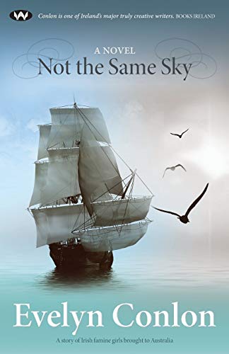 Stock image for Not the Same Sky: A novel for sale by WorldofBooks