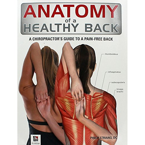 Anatomy Of Healthy Back (9781743088012) by Striano, Philip D.C.