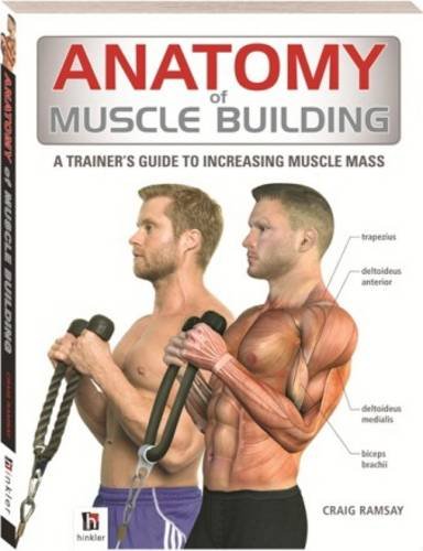 9781743088036: Anatomy of Muscle Building (The Anatomy Series)