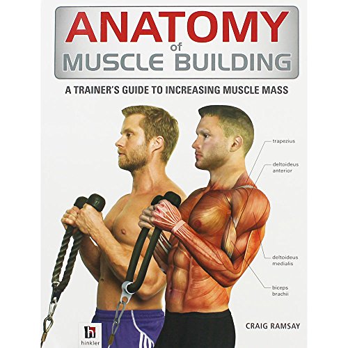 9781743088036: Anatomy of Muscle Building