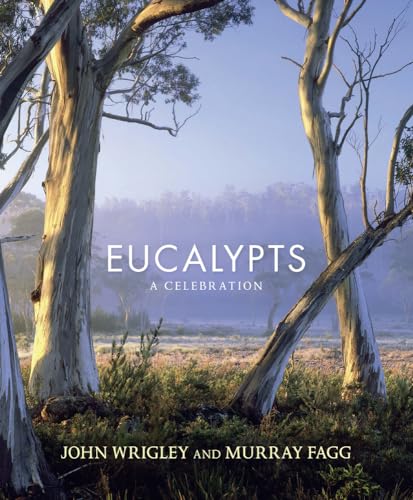 Stock image for Eucalypts: A Celebration for sale by GF Books, Inc.