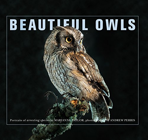 9781743369913: Beautiful Owls