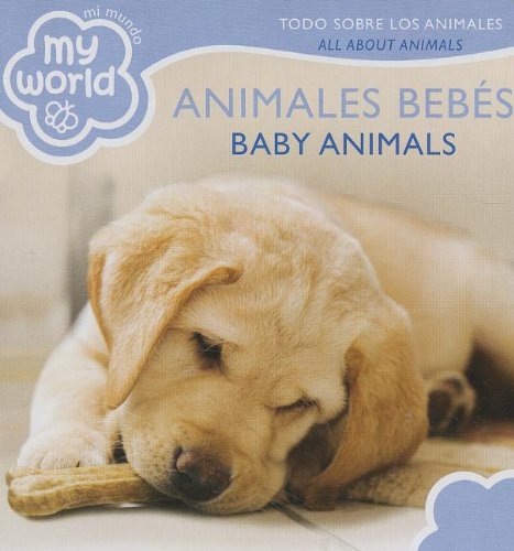 Imagen de archivo de Animales Bebes / Baby Animals: Todo Sobre Los Animalse / All About Animales (Mi Mundo / My World) (Spanish and English Edition) a la venta por SecondSale